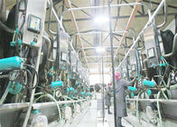 Nhà máy chế biến sữa quy mô nhỏ / Thiết bị sản xuất sữa chua KQ-1000L