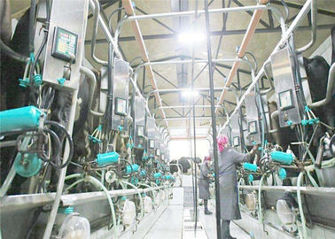 Trung Quốc Nhà máy chế biến sữa quy mô nhỏ / Thiết bị sản xuất sữa chua KQ-1000L nhà máy sản xuất